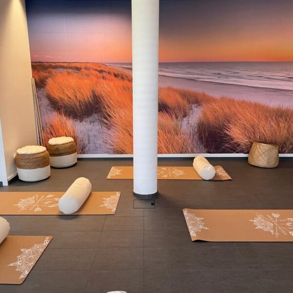 Yogastudio Inwil YOGAFREUNDE